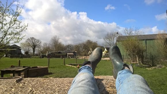 Der Bauernhof "Muhs" Der Bauernhof "Muhs"