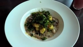Gnocchi mit Steinpilzrahmsoße und frittiertem Rukola Gnocchi mit Steinpilzrahmsoße und frittiertem Rukola